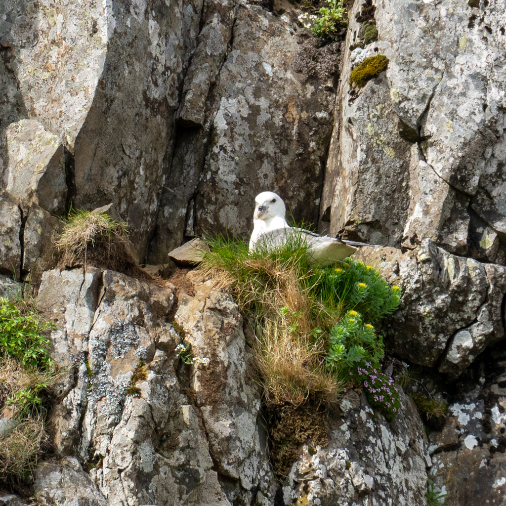 Photography by Chris Allington